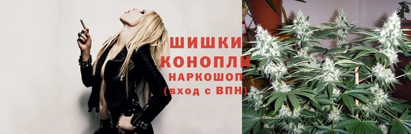 альфа пвп Нефтекумск